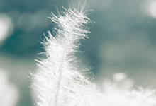 上海后花园诗意栖息:慢下来,享受生活